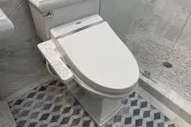 Bidet6[1]-9809052-4357.webp